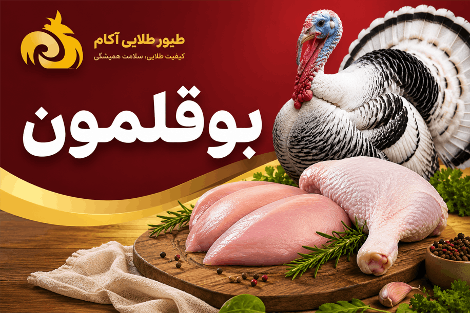 بوقلمون